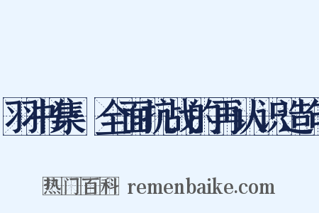 羽书集·全面抗战的再认识造句是什么意思的图片